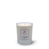 Christmas Candle Travel