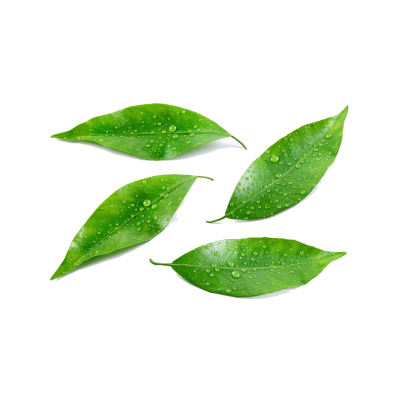 Pressed Limeleaf Diffuser